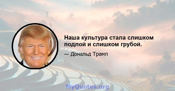 Наша культура стала слишком подлой и слишком грубой.