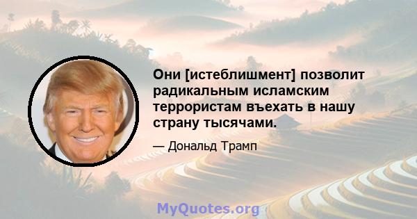 Они [истеблишмент] позволит радикальным исламским террористам въехать в нашу страну тысячами.