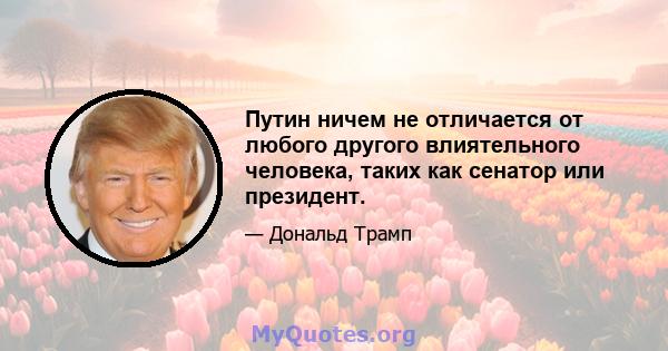 Путин ничем не отличается от любого другого влиятельного человека, таких как сенатор или президент.