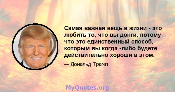 Самая важная вещь в жизни - это любить то, что вы донги, потому что это единственный способ, которым вы когда -либо будете действительно хороши в этом.