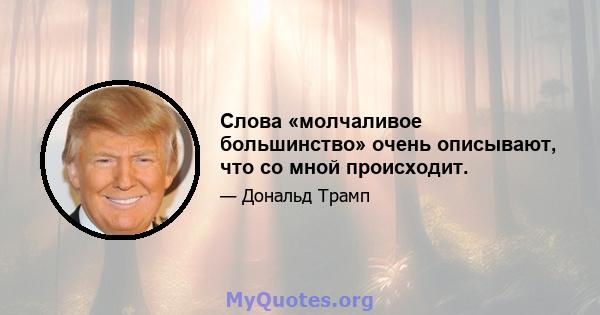 Слова «молчаливое большинство» очень описывают, что со мной происходит.