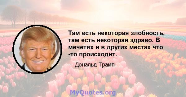 Там есть некоторая злобность, там есть некоторая здраво. В мечетях и в других местах что -то происходит.