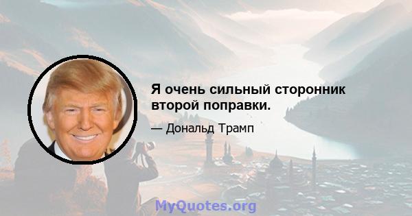 Я очень сильный сторонник второй поправки.