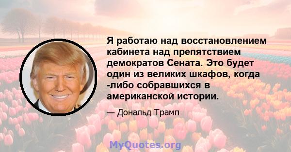 Я работаю над восстановлением кабинета над препятствием демократов Сената. Это будет один из великих шкафов, когда -либо собравшихся в американской истории.