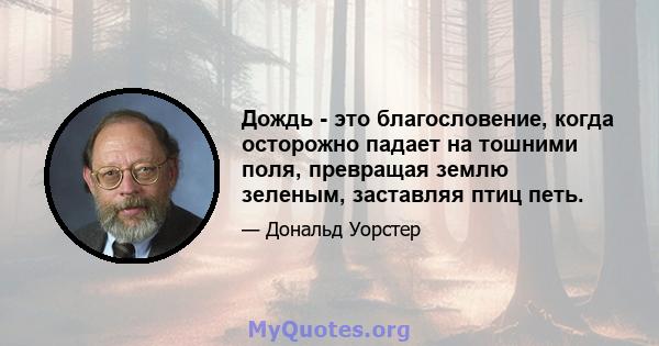 Дождь - это благословение, когда осторожно падает на тошними поля, превращая землю зеленым, заставляя птиц петь.