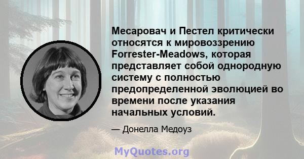 Месаровач и Пестел критически относятся к мировоззрению Forrester-Meadows, которая представляет собой однородную систему с полностью предопределенной эволюцией во времени после указания начальных условий.