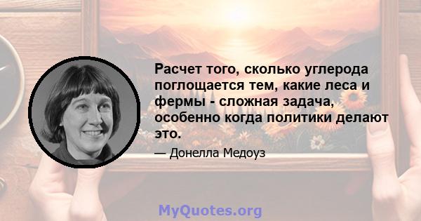 Расчет того, сколько углерода поглощается тем, какие леса и фермы - сложная задача, особенно когда политики делают это.