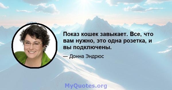 Показ кошек завыкает. Все, что вам нужно, это одна розетка, и вы подключены.