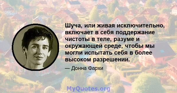 Шуча, или живая исключительно, включает в себя поддержание чистоты в теле, разуме и окружающей среде, чтобы мы могли испытать себя в более высоком разрешении.