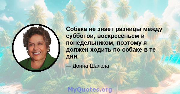 Собака не знает разницы между субботой, воскресеньем и понедельником, поэтому я должен ходить по собаке в те дни.