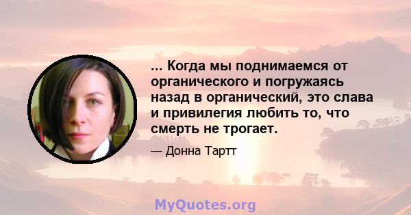 ... Когда мы поднимаемся от органического и погружаясь назад в органический, это слава и привилегия любить то, что смерть не трогает.