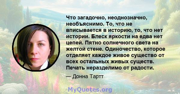 Что загадочно, неоднозначно, необъяснимо. То, что не вписывается в историю, то, что нет истории. Блеск яркости на едва нет цепей. Пятно солнечного света на желтой стене. Одиночество, которое отделяет каждое живое