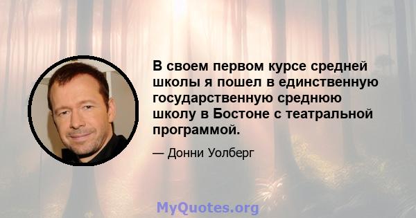 В своем первом курсе средней школы я пошел в единственную государственную среднюю школу в Бостоне с театральной программой.