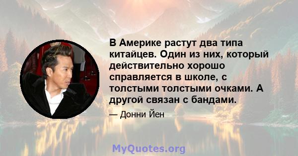 В Америке растут два типа китайцев. Один из них, который действительно хорошо справляется в школе, с толстыми толстыми очками. А другой связан с бандами.