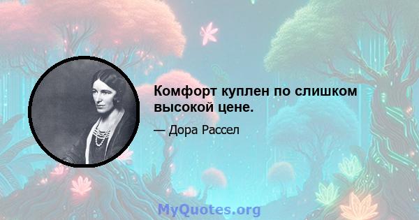 Комфорт куплен по слишком высокой цене.