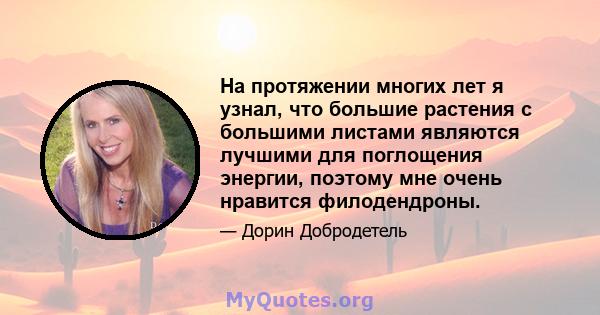 На протяжении многих лет я узнал, что большие растения с большими листами являются лучшими для поглощения энергии, поэтому мне очень нравится филодендроны.