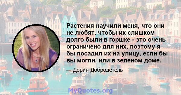 Растения научили меня, что они не любят, чтобы их слишком долго были в горшке - это очень ограничено для них, поэтому я бы посадил их на улицу, если бы вы могли, или в зеленом доме.