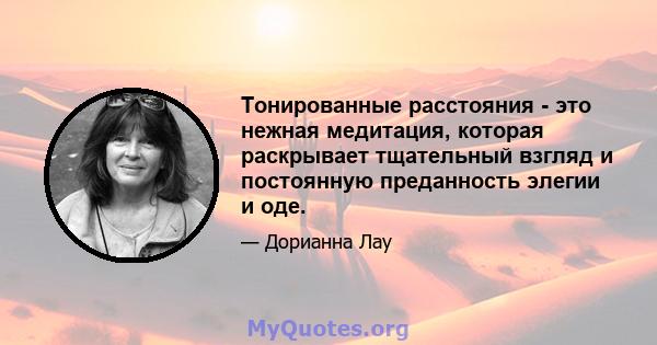 Тонированные расстояния - это нежная медитация, которая раскрывает тщательный взгляд и постоянную преданность элегии и оде.