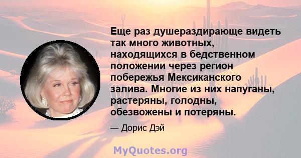 Еще раз душераздирающе видеть так много животных, находящихся в бедственном положении через регион побережья Мексиканского залива. Многие из них напуганы, растеряны, голодны, обезвожены и потеряны.