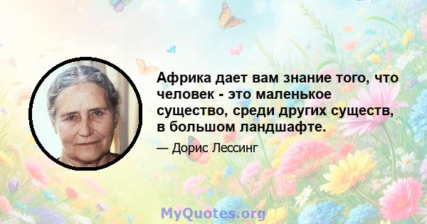 Африка дает вам знание того, что человек - это маленькое существо, среди других существ, в большом ландшафте.