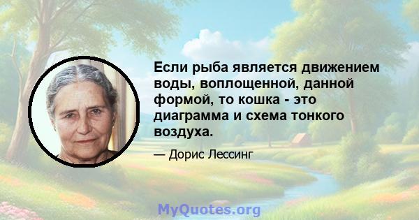 Если рыба является движением воды, воплощенной, данной формой, то кошка - это диаграмма и схема тонкого воздуха.