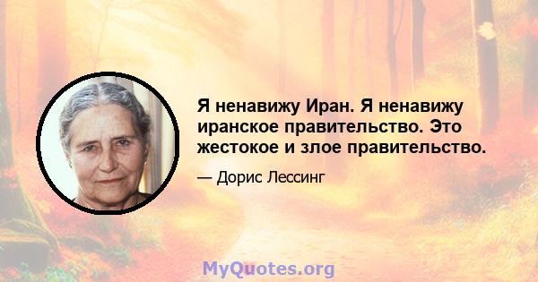 Я ненавижу Иран. Я ненавижу иранское правительство. Это жестокое и злое правительство.