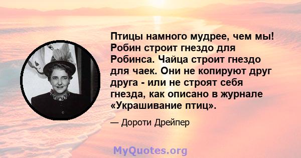 Птицы намного мудрее, чем мы! Робин строит гнездо для Робинса. Чайца строит гнездо для чаек. Они не копируют друг друга - или не строят себя гнезда, как описано в журнале «Украшивание птиц».