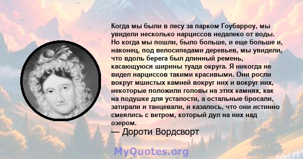 Когда мы были в лесу за парком Гоубарроу, мы увидели несколько нарциссов недалеко от воды. Но когда мы пошли, было больше, и еще больше и, наконец, под велосипедами деревьев, мы увидели, что вдоль берега был длинный