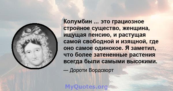 Колумбин ... это грациозное стройное существо, женщина, ищущая пенсию, и растущая самой свободной и изящной, где оно самое одинокое. Я заметил, что более затененные растения всегда были самыми высокими.