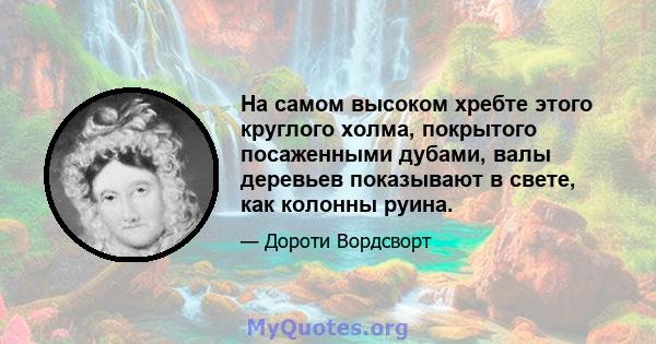 На самом высоком хребте этого круглого холма, покрытого посаженными дубами, валы деревьев показывают в свете, как колонны руина.