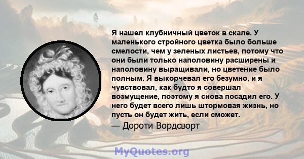 Я нашел клубничный цветок в скале. У маленького стройного цветка было больше смелости, чем у зеленых листьев, потому что они были только наполовину расширены и наполовину выращивали, но цветение было полным. Я