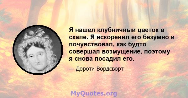 Я нашел клубничный цветок в скале. Я искоренил его безумно и почувствовал, как будто совершал возмущение, поэтому я снова посадил его.