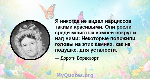 Я никогда не видел нарциссов такими красивыми. Они росли среди мшистых камней вокруг и над ними; Некоторые положили головы на этих камнях, как на подушке, для усталости.