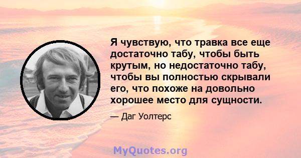 Я чувствую, что травка все еще достаточно табу, чтобы быть крутым, но недостаточно табу, чтобы вы полностью скрывали его, что похоже на довольно хорошее место для сущности.