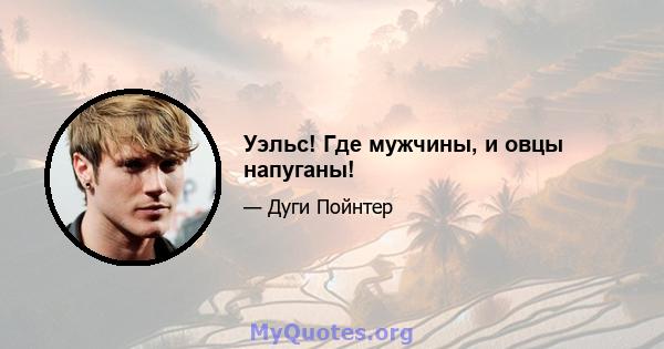 Уэльс! Где мужчины, и овцы напуганы!