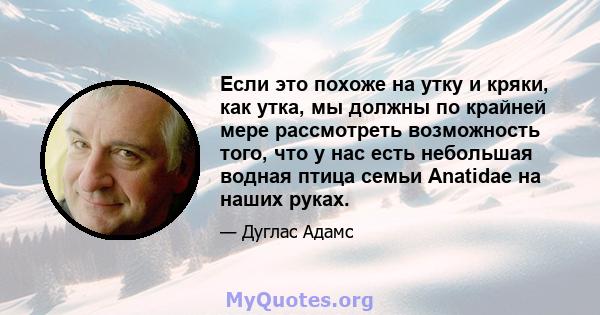 Если это похоже на утку и кряки, как утка, мы должны по крайней мере рассмотреть возможность того, что у нас есть небольшая водная птица семьи Anatidae на наших руках.