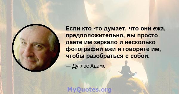 Если кто -то думает, что они ежа, предположительно, вы просто даете им зеркало и несколько фотографий ежи ​​и говорите им, чтобы разобраться с собой.