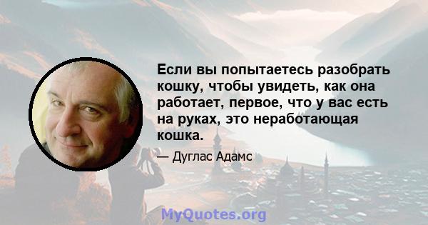 Если вы попытаетесь разобрать кошку, чтобы увидеть, как она работает, первое, что у вас есть на руках, это неработающая кошка.