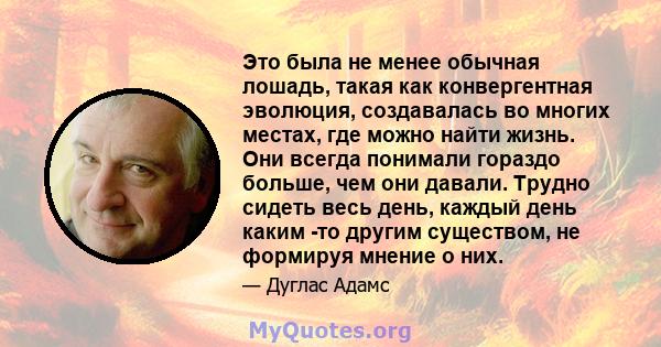 Это была не менее обычная лошадь, такая как конвергентная эволюция, создавалась во многих местах, где можно найти жизнь. Они всегда понимали гораздо больше, чем они давали. Трудно сидеть весь день, каждый день каким -то 