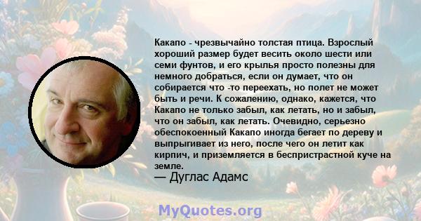 Какапо - чрезвычайно толстая птица. Взрослый хороший размер будет весить около шести или семи фунтов, и его крылья просто полезны для немного добраться, если он думает, что он собирается что -то переехать, но полет не