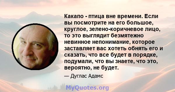 Какапо - птица вне времени. Если вы посмотрите на его большое, круглое, зелено-коричневое лицо, то это выглядит безмятежно невинное непонимание, которое заставляет вас хотеть обнять его и сказать, что все будет в