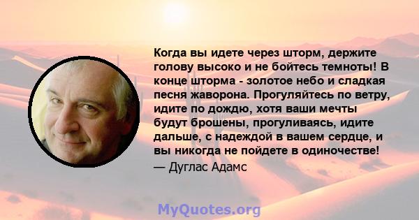 Когда вы идете через шторм, держите голову высоко и не бойтесь темноты! В конце шторма - золотое небо и сладкая песня жаворона. Прогуляйтесь по ветру, идите по дождю, хотя ваши мечты будут брошены, прогуливаясь, идите