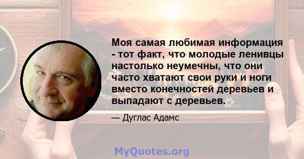 Моя самая любимая информация - тот факт, что молодые ленивцы настолько неумечны, что они часто хватают свои руки и ноги вместо конечностей деревьев и выпадают с деревьев.