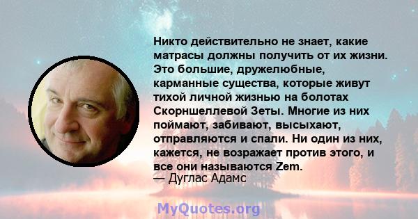 Никто действительно не знает, какие матрасы должны получить от их жизни. Это большие, дружелюбные, карманные существа, которые живут тихой личной жизнью на болотах Скорншеллевой Зеты. Многие из них поймают, забивают,