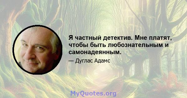 Я частный детектив. Мне платят, чтобы быть любознательным и самонадеянным.