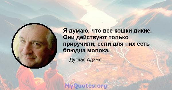 Я думаю, что все кошки дикие. Они действуют только приручили, если для них есть блюдца молока.