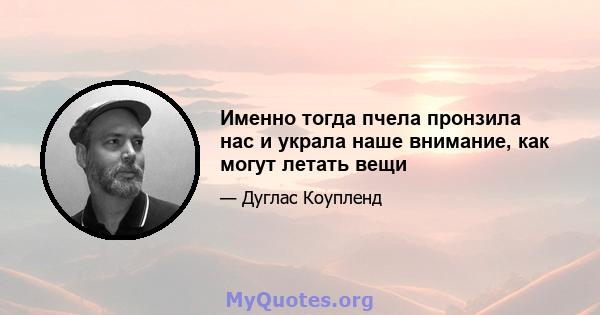 Именно тогда пчела пронзила нас и украла наше внимание, как могут летать вещи