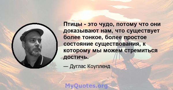 Птицы - это чудо, потому что они доказывают нам, что существует более тонкое, более простое состояние существования, к которому мы можем стремиться достичь.