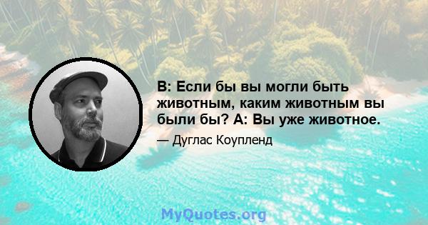 В: Если бы вы могли быть животным, каким животным вы были бы? A: Вы уже животное.