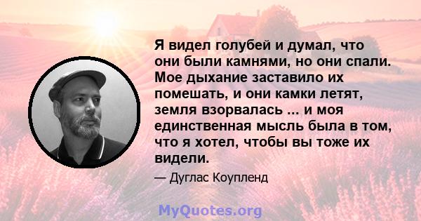 Я видел голубей и думал, что они были камнями, но они спали. Мое дыхание заставило их помешать, и они камки летят, земля взорвалась ... и моя единственная мысль была в том, что я хотел, чтобы вы тоже их видели.